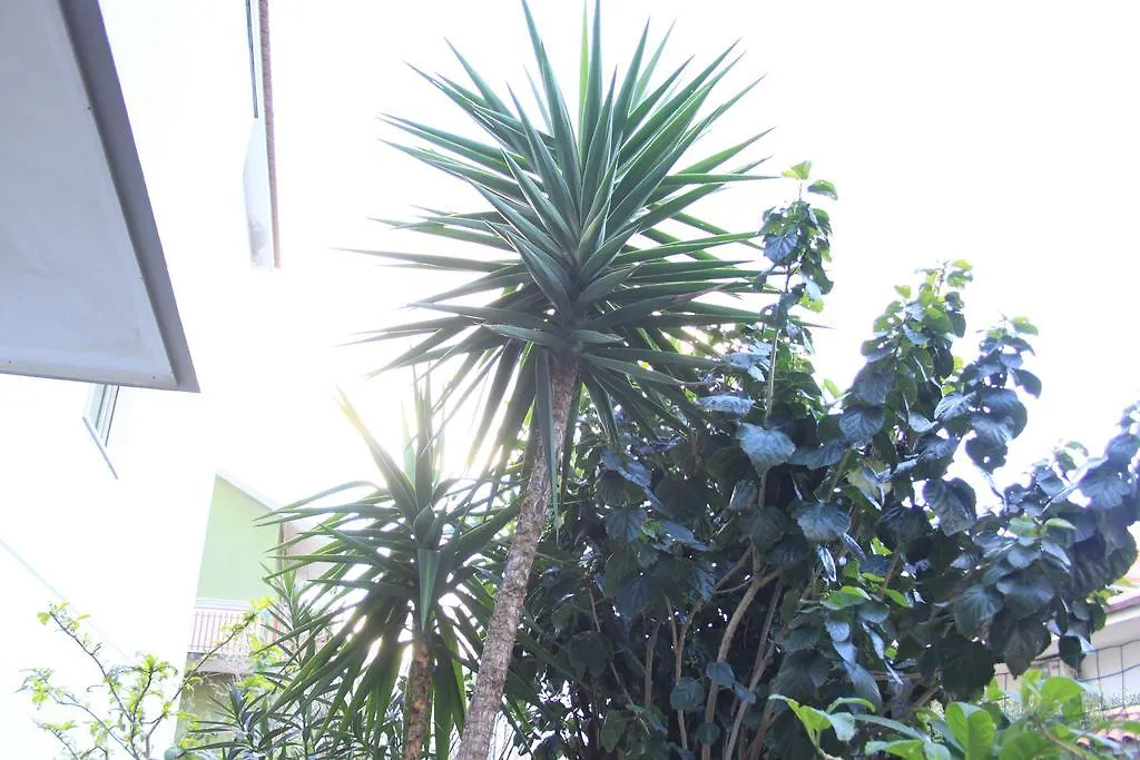 *** Bed & Breakfast B&B Mimosa Giardini Naxos Italy